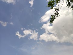 15606927743236192774486868915799.jpg