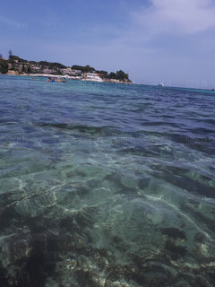 20190617_141421.jpg