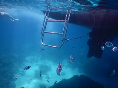 DSCN1582.JPG