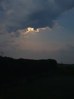 20190620_024428.jpg
