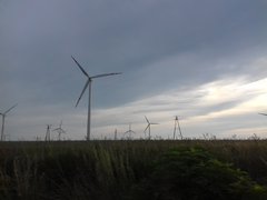 20190614_194512.jpg