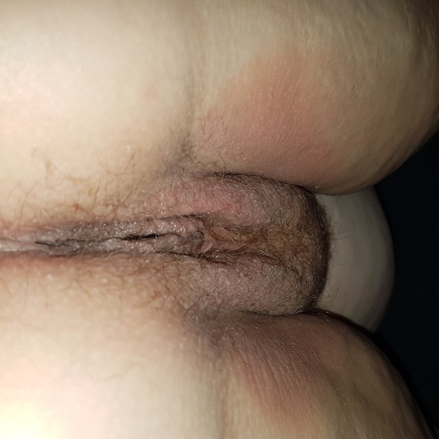mefisto7877