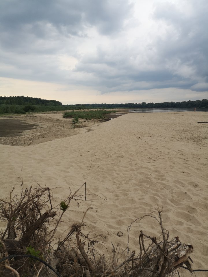 2019-06-21 18.01.24.jpg - tom6970