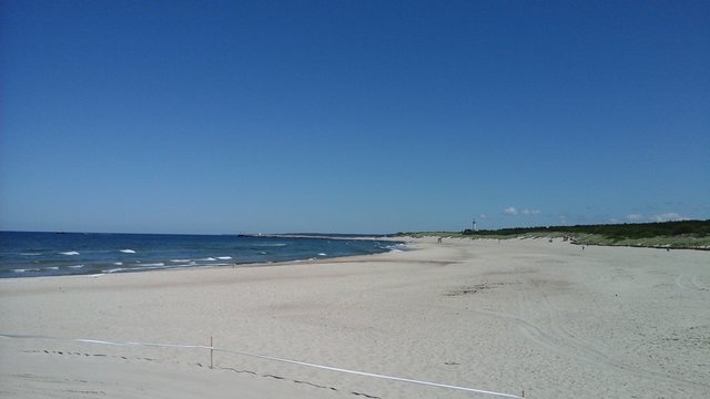 biMiKpuszysta