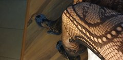 20190622_050747.jpg