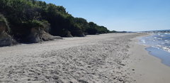 20190622_155857.jpg
