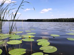 20190614_140018.jpg
