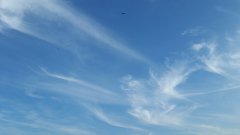 20190618_183028_011.jpg