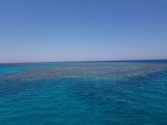 20190624_121839.jpg