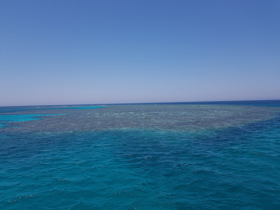 20190624_121839.jpg - ON75DLANIEJ