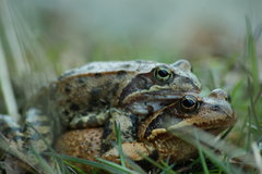 DSC05029.JPG