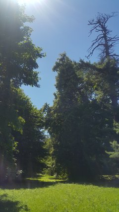 20190623_133838.jpg