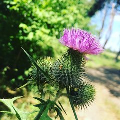 D86C7A4A-346C-41C8-BFAB-C3994AB070FD.jpeg