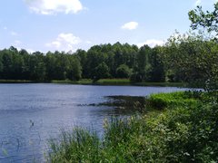 IMG_20190605_110929.jpg