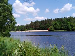 IMG_20190605_110925.jpg