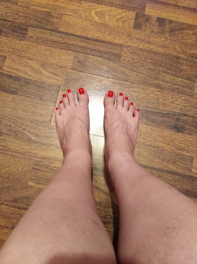 transsylwia1