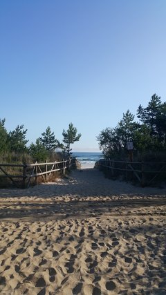 20190628_070151.jpg