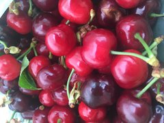 968A1E9E-A038-4707-A741-82327EECAFAD.jpeg