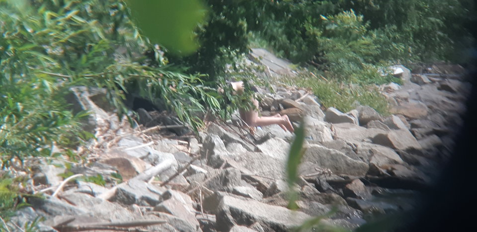 20190629_145054.jpg - mlody1277