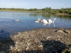 20190630_184122.jpg