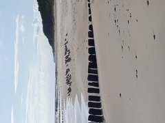 20190702_075450.jpg