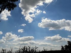 20190702_190204.jpg