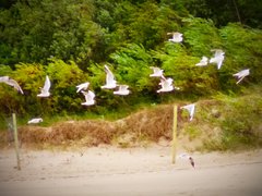 IMG_20190702_202652.jpg