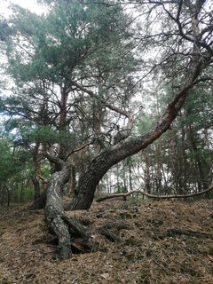 IMG_20190703_101606.jpg