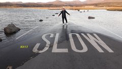 Shell island.jpg