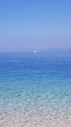 20190705_102229.jpg