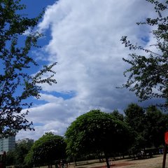 IMG-20190704-WA0001.jpg