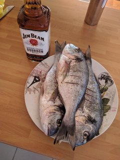 Before🐟