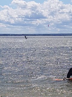 Resized_20190705_133543_2231.jpeg
