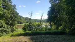 20190623_133957.jpg