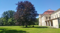20190623_133913.jpg