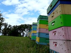 20190702_134911.jpg