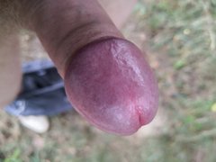 IMG_20190703_114103.jpg