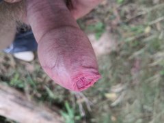 IMG_20190703_114119.jpg