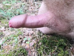 IMG_20190708_104150.jpg