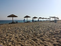 IMG_20190629_081808.jpg