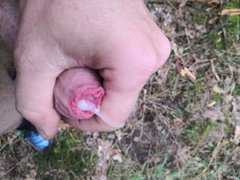 IMG_20190708_104459_1.jpg