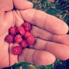 E8A4449C-D703-44B8-8079-F09D1F0442B9.jpeg