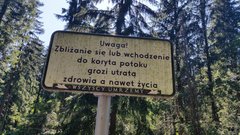 wszyscy ...