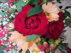 IMG_20190710_093249_BURST001_COVER.jpg