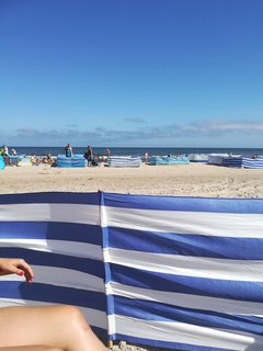 IMG_20190711_103204.jpg