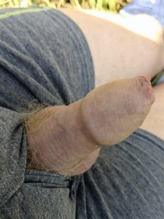 IMG_20190711_133632.jpg