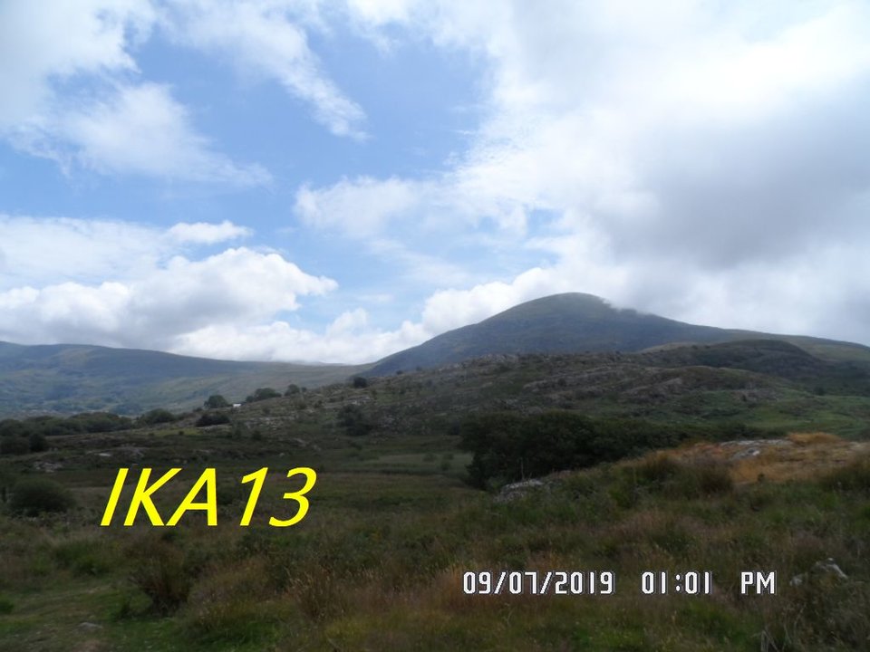 SAM_2122.jpg - ika13
