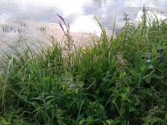 20190710_204245.jpg