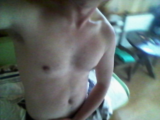 pittbullWro