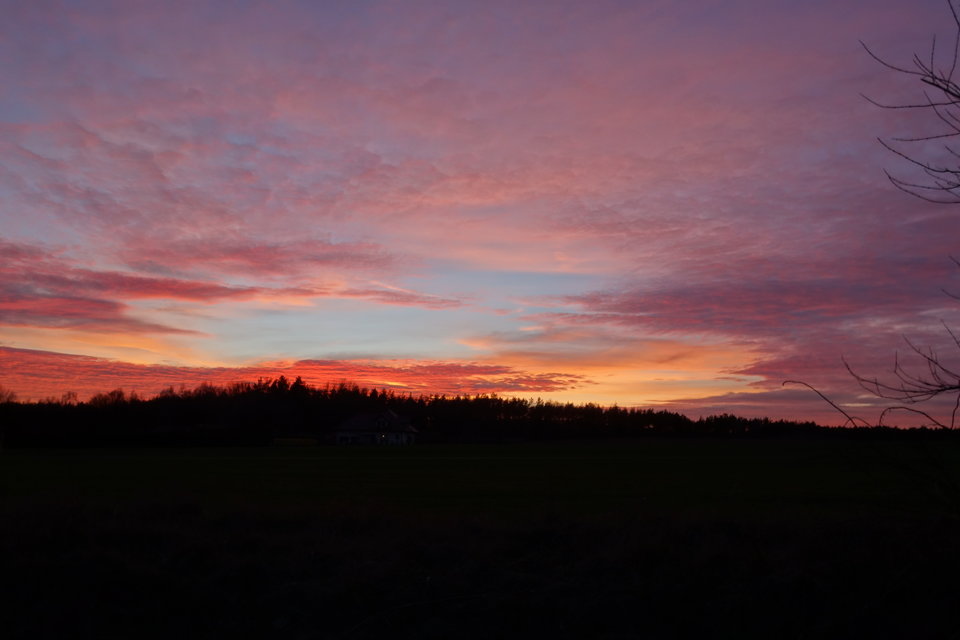 DSC00987.JPG - Wlodekass